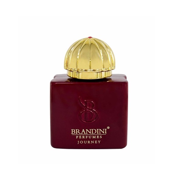 برندینی پرفیوم AMOUAGE JOURNEY WOMEN 33ML مینی