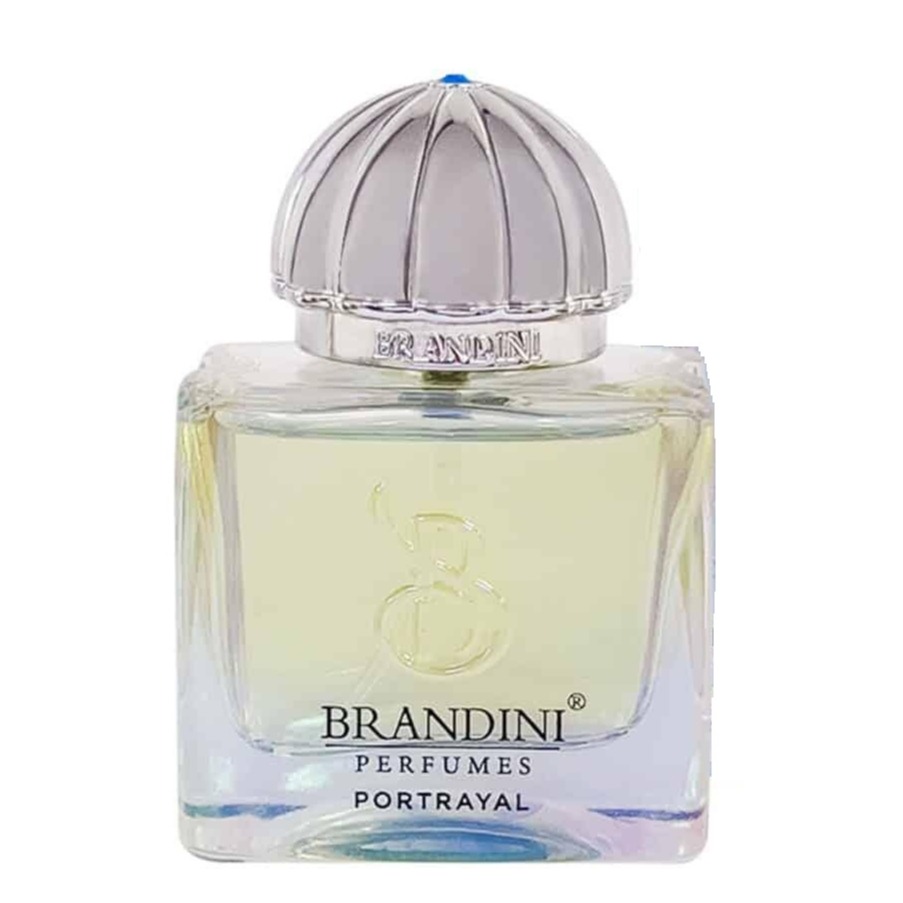 برندینی پرفیوم AMOUAGE PORTRAYAL MEN 33ML