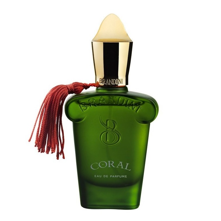برندینی عطر 33ml CORAL