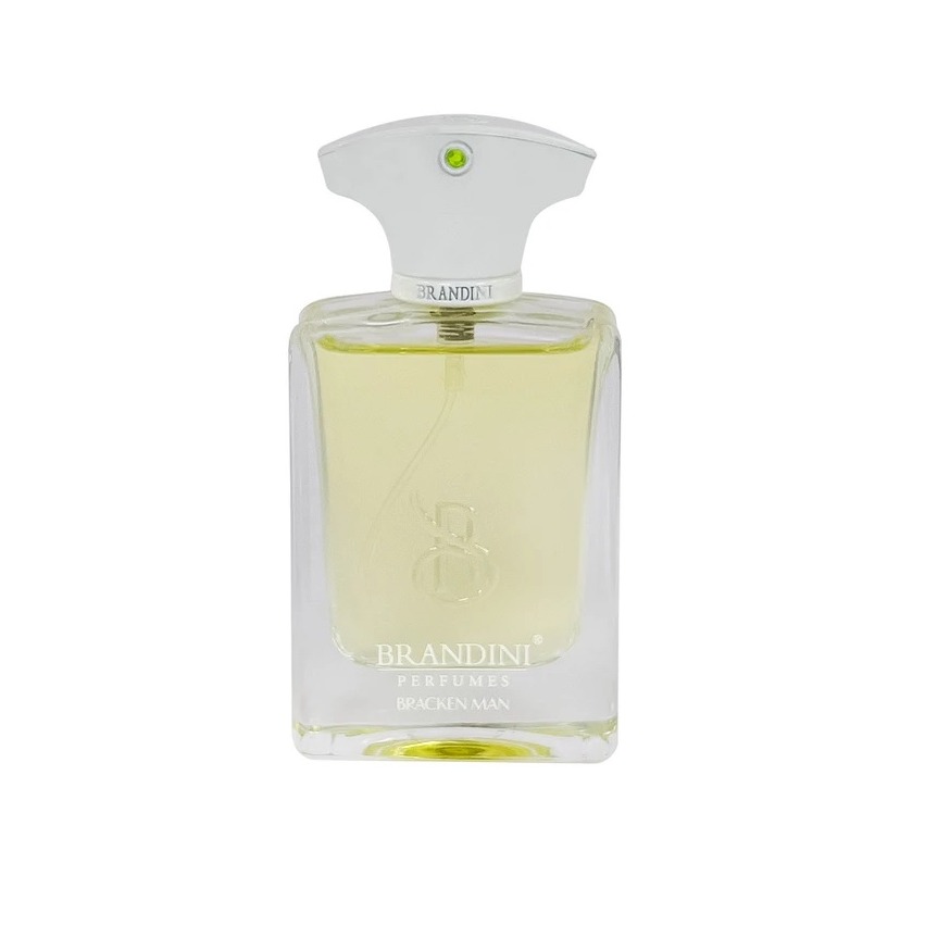 برندینی پرفیوم AMOUAGE BRACKEN MAN 33ML مینی