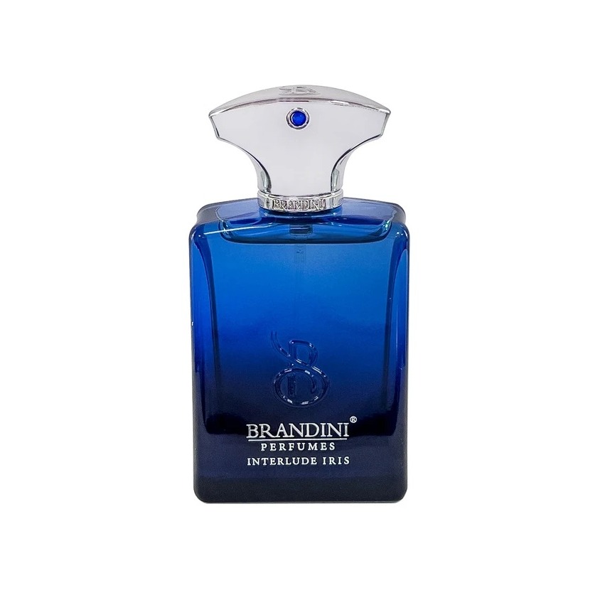 برندینی پرفیوم AMOUAGE INTERLUDE IRIS MEN 33ML مینی